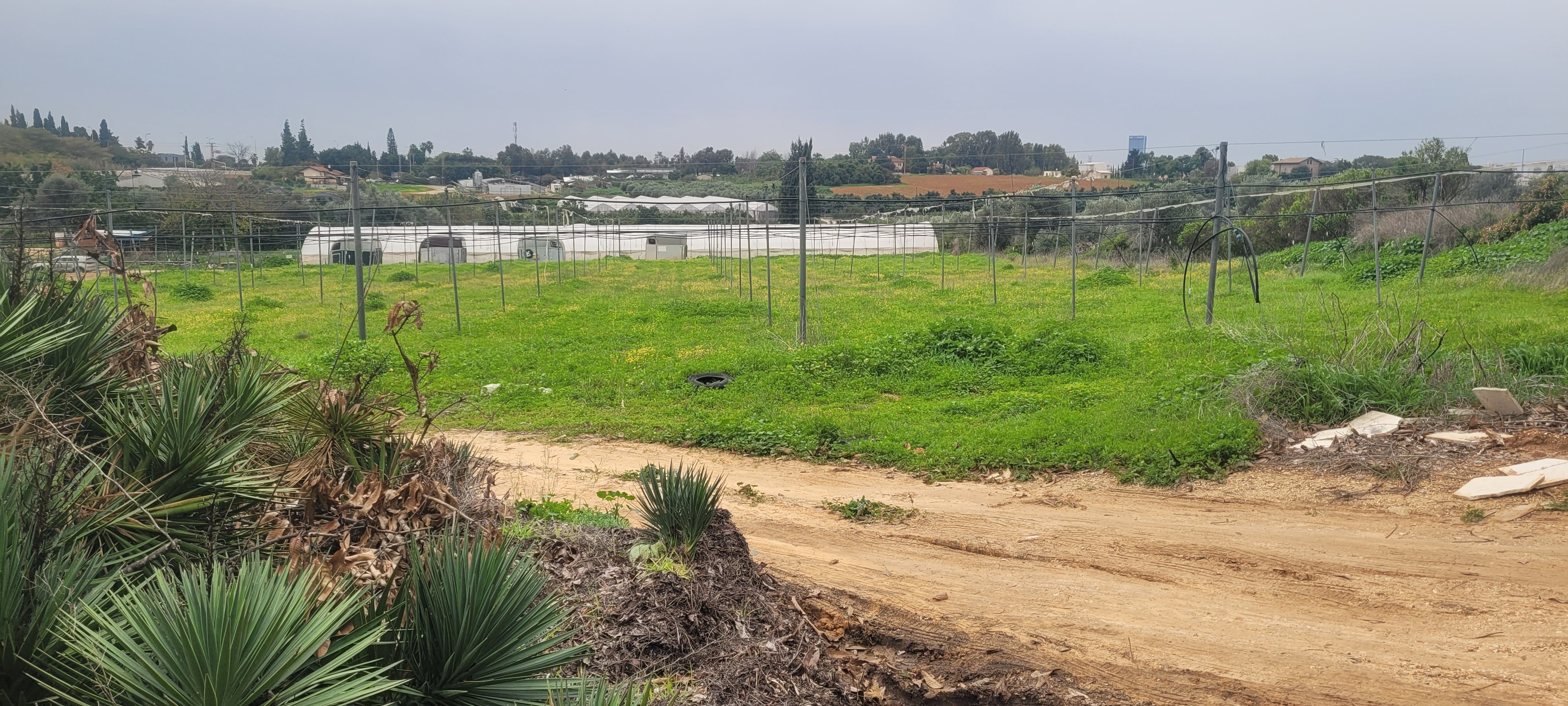 מהסמארטפון שלי